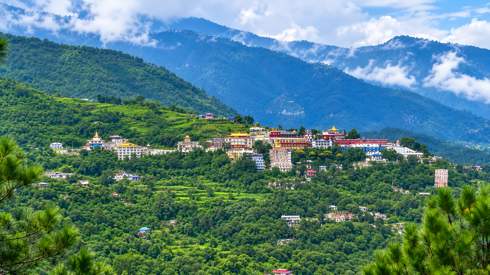 ༧དཔལ་གཤེན་བསྟན་སྨན་རིའི་གླིང་དུ་བོད་མེ་རྟ་ལོའི་སྲིད་རྒྱལ་འབུམ་ཚོགས་འབུལ་འཆར་གྱི་གསལ་བསྒྲགས།